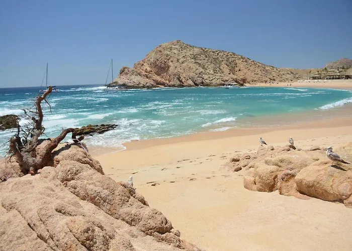 Luxury - Great View - Easy Walk Everywhere! * Cabo San Lucas